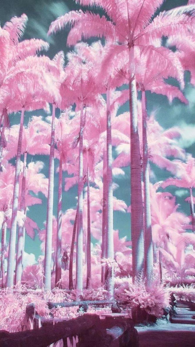 最终幻想15